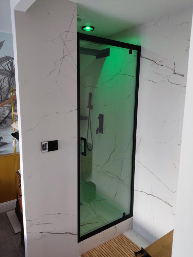 Superbe Appartement Avec Jacuzzi Avec Jardin Prive Lyon Luaran gambar