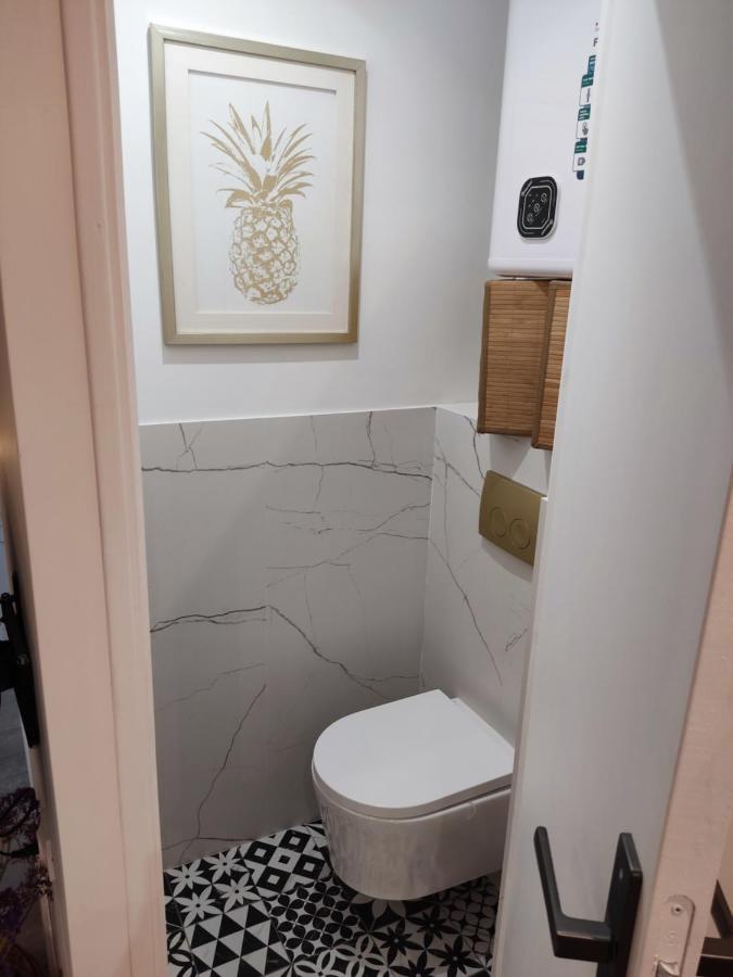 Superbe Appartement Avec Jacuzzi Avec Jardin Prive Lyon Luaran gambar